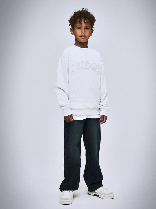 Actual product image Name it Bio-Baumwoll Sweatshirt (134)