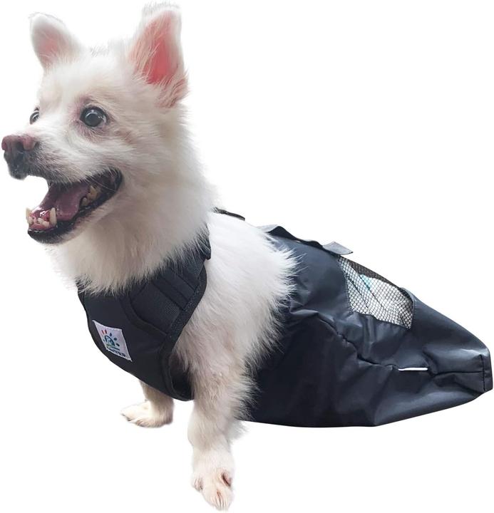 Actual product image DerYEP Dog scooter XS (XS, Dog, Cat, General)
