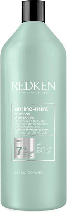 Produktbild Redken Amino Mint (1000 ml, Trockenshampoo)