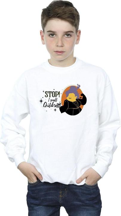 Actual product image Disney Boys Hocus Pocus Stop Mary Sweatshirt (140, 146)