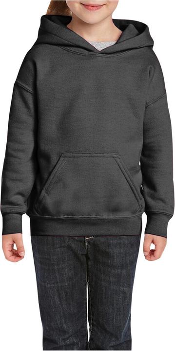 Image du produit Gildan Sweat-shirt à capuche (M)