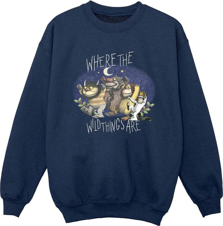 Produktbild Where The Wild Things Are Sweatshirt Jungen (104)