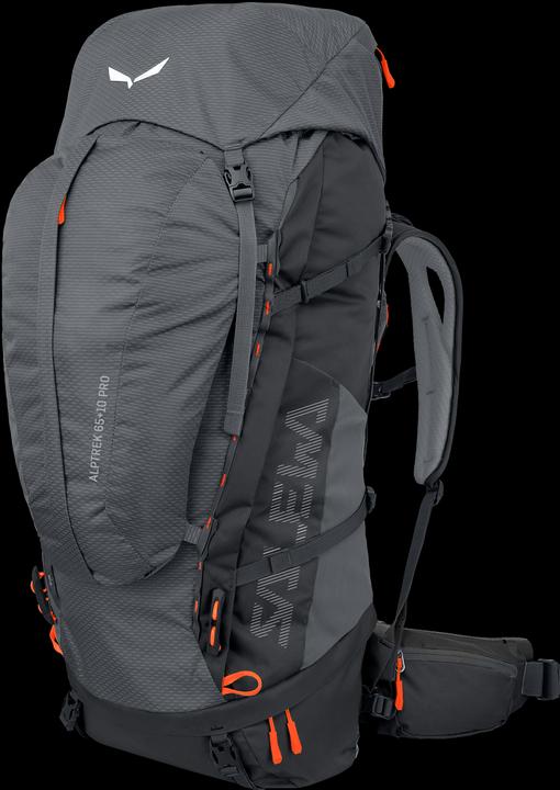 Actual product image Salewa Alptrek + L Pro (65 l)