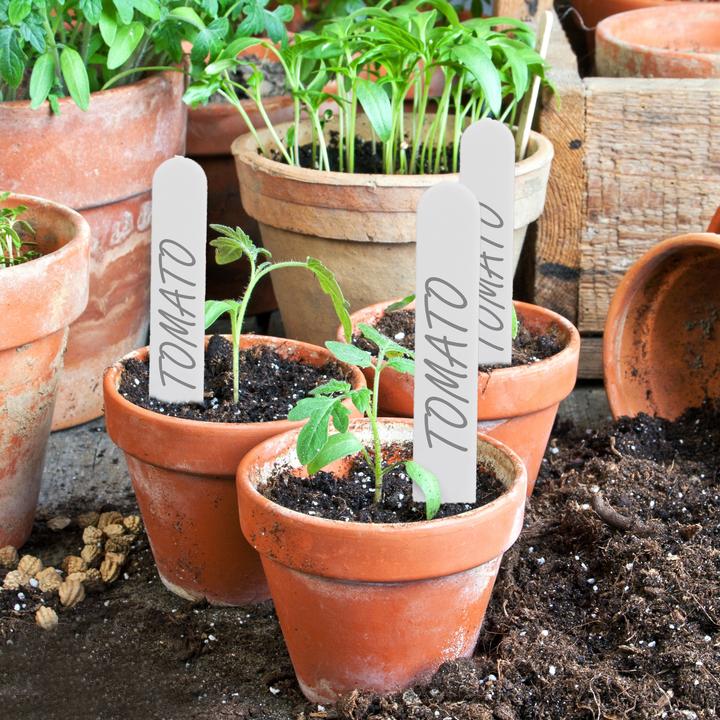 Produktbild Relaxdays 500x Pflanzetiketten (0.10 cm, 1.50 cm)