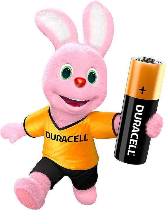 Actual product image Duracell Plus (4 pcs., AA, 2600 mAh)