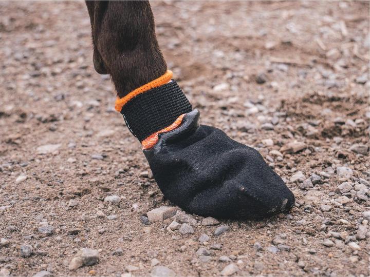 Actual product image Non-Stop Dogwear Protector Booties (XL, Dog boots)