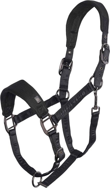 Produktbild Imperial Riding Cloud Dancer