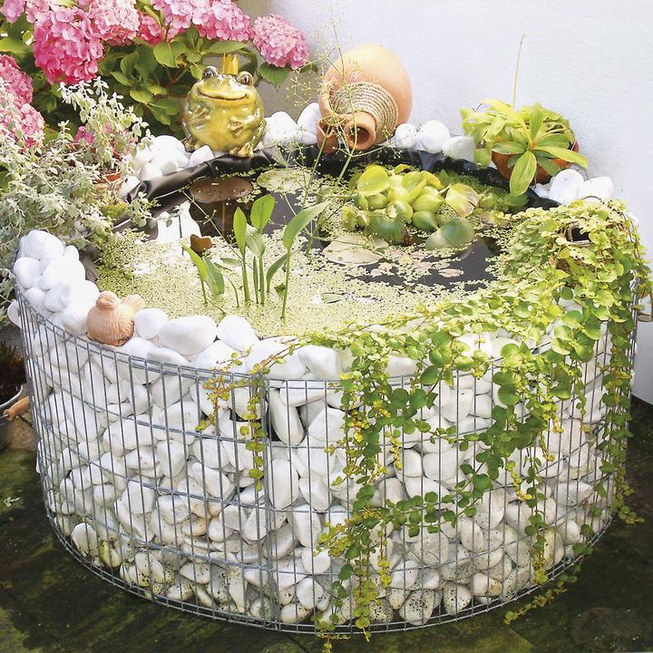 Produktbild Bellissa Hochteich