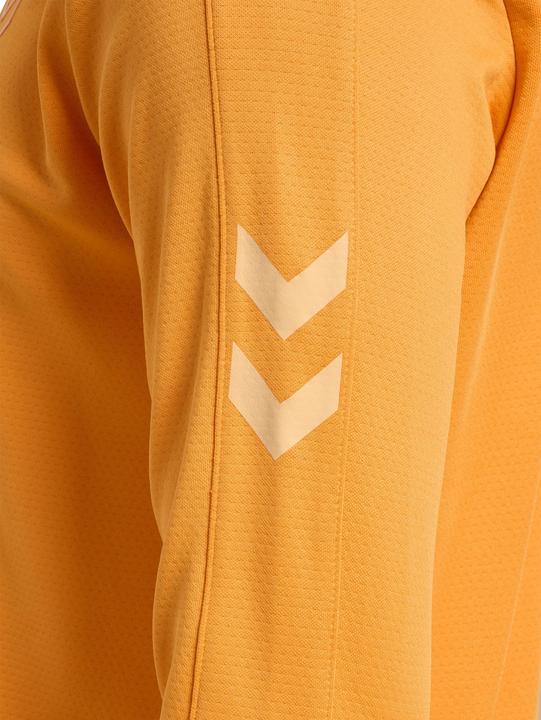 Immagine prodotto hummel hmlACTIVE PL HALF ZIP (L)