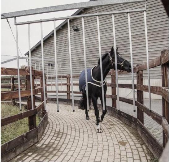 Produktbild Kentucky Horsewear Walkerdecke waterproof 160g (145 cm)