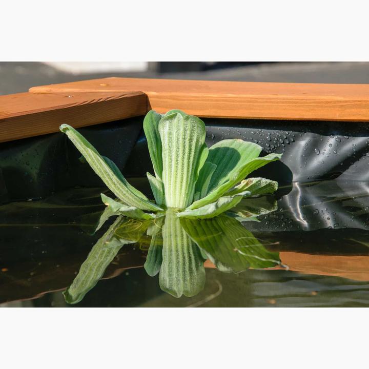 Image du produit Dobar Hexagone