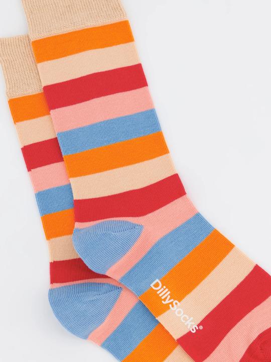 Immagine prodotto DillySocks Strisce pastello (36 - 41)