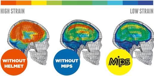 Actual product image Triple 8 Dual Certified MIPS with EPS Liner (50 - 54 cm)