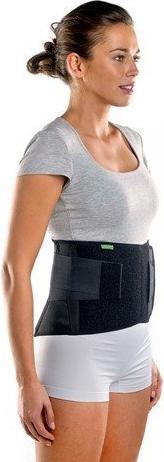 Actual product image BraceID Contoured Back Support (M)