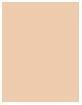 Actual product image Bourjois Always Fabulous 24H (100 Rose Ivory)
