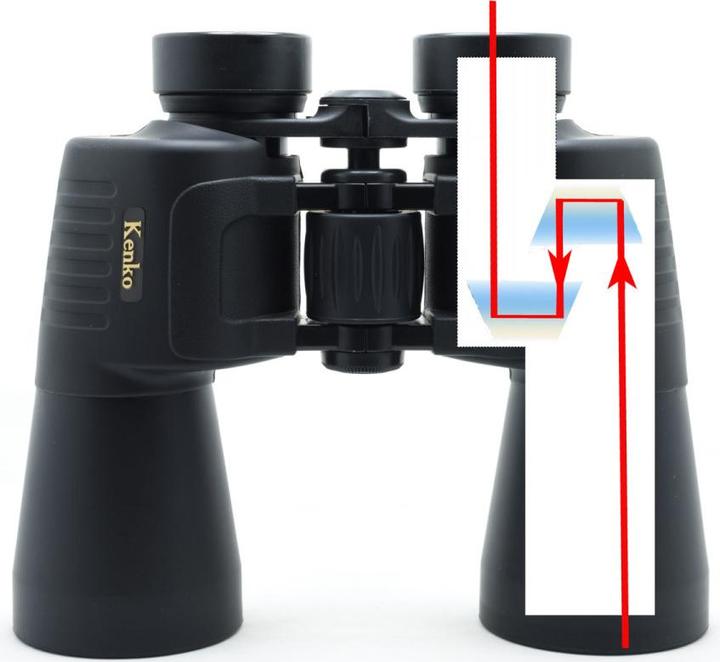 Actual product image Kenko Artos 12x42 (12 x, 42 mm)