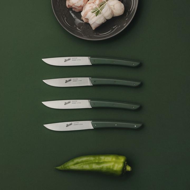 Produktbild Berkel Steakmesser-Set 4-tlg. Color verde (4 Stück, Messer)