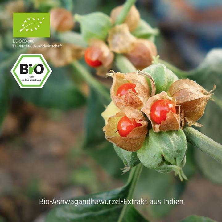 Produktbild Effective Nature Bio Ashwagandha Extrakt KSM-66 (120 Stück, Tabletten, 36 g)