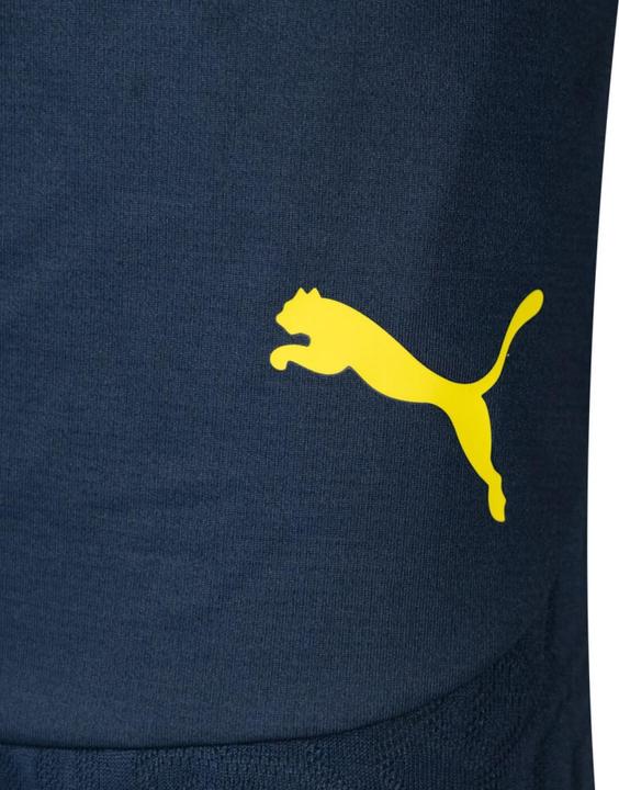 Produktbild Puma FSK Training Shorts (S)