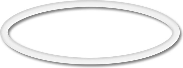 Immagine prodotto SunSun CPP-10000F Ricambio pompa piscina O-ring 2 guarnizione pompa piscina