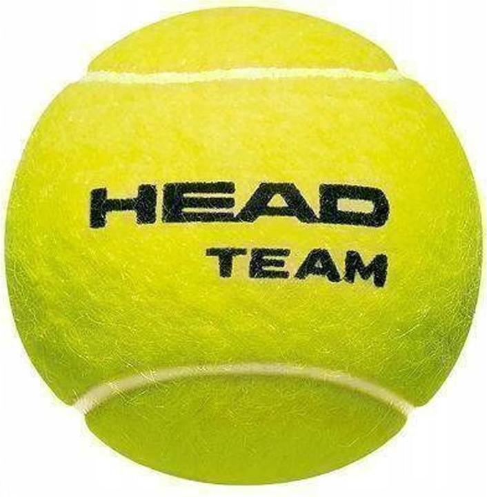 Image du produit Head Balles de tennis 4Erpack Team