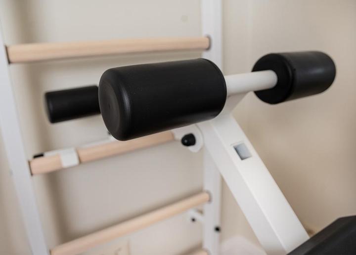Produktbild BenchK Sprossenwand 233W