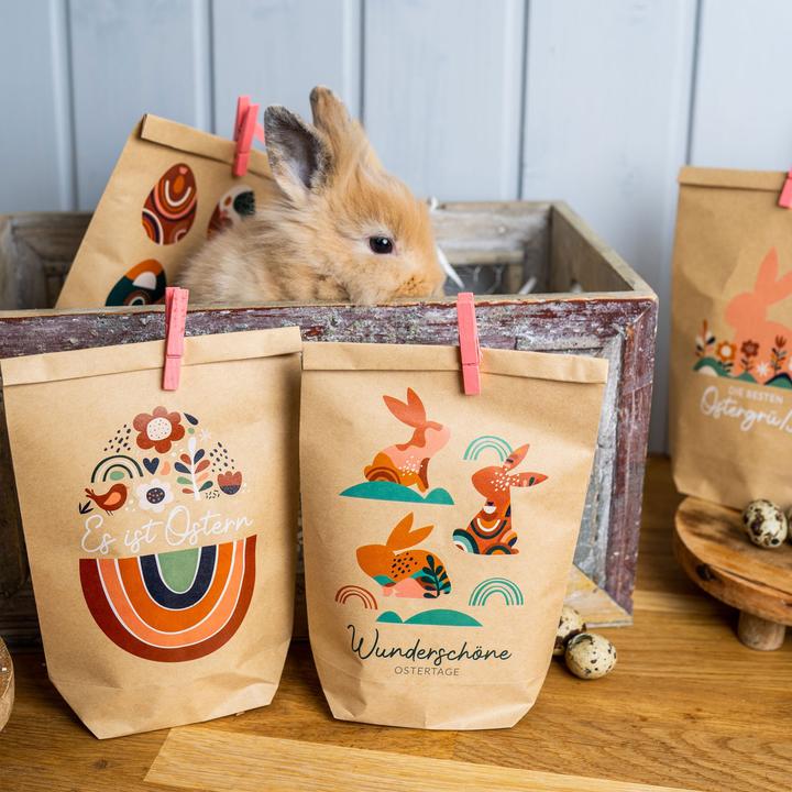 Produktbild Papierdrachen Geschenktüten zu Ostern Set 6 (Geschenktüte, 6 x)