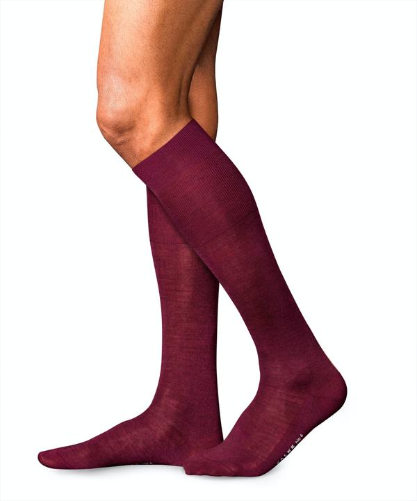 Falke No. 6 KH