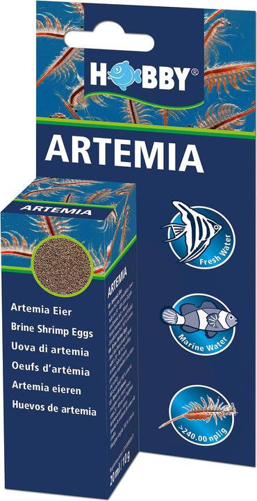 Hobby Oeufs d'artémias 20ml (Mineurs, 20 ml)
