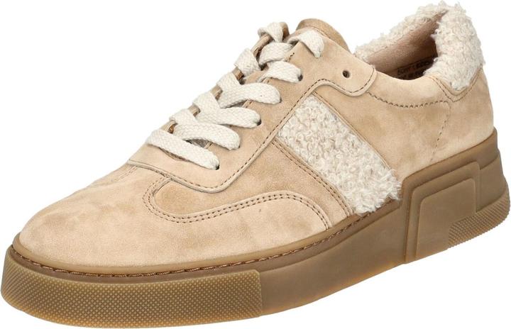 Paul Green 5393-006 (37)
