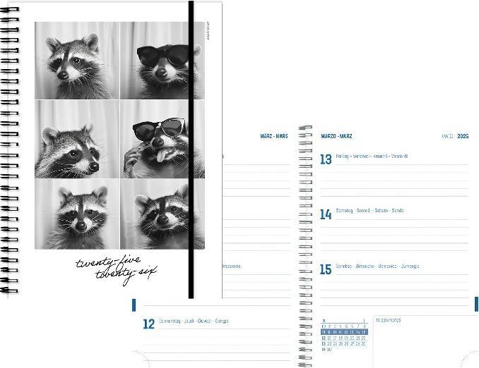 Image du produit Simplex Schüleragenda Emotions 25/26 500216.26 1W/2S 17M Racoon ML 14.8x21cm (14.8 x 21 cm, Rhaeto-Romanique, Allemand, Français, Italien)