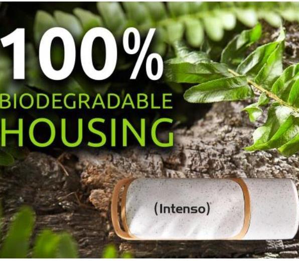 Actual product image Intenso Green Line (64 GB, USB-A)