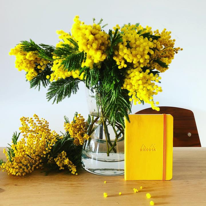Actual product image Rhodia Notebooks and notebooks Rho (A6, Plain, Hardcover)