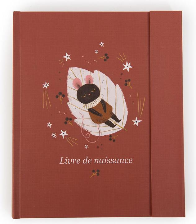 Actual product image Moulin Roty Birth book