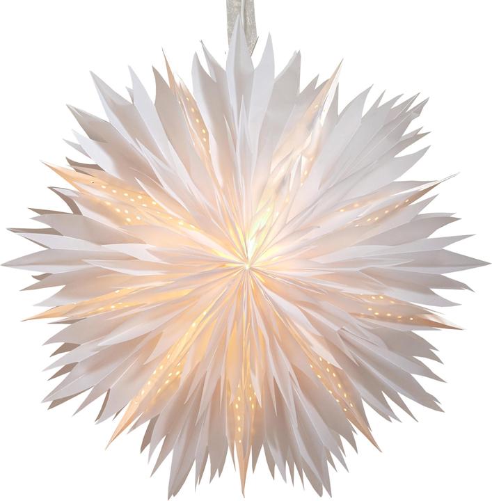 Star Trading Papierstern Dis