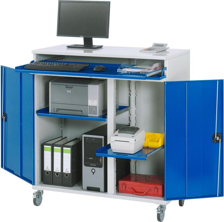 Image du produit RAU Armoire informatique version fixe ou mobile (110 cm, 118.50 cm)