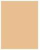 Immagine prodotto Shiseido Fondotinta in polvere auto-rinfrescante Synchro Skin Custom Finish (150 Pizzo)