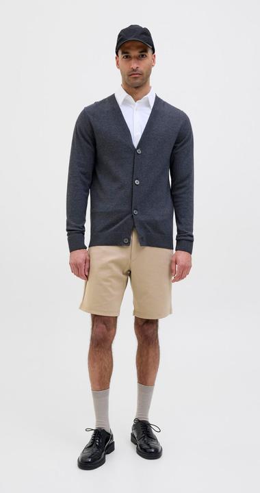 Produktbild Jack & Jones Regular Fit Slim Fit Shorts Slim Fit Shorts (XS)