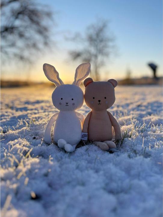 Immagine prodotto Jabadabado Set regalo JABADABADBuddy Teddy N0185 (8.50 cm)