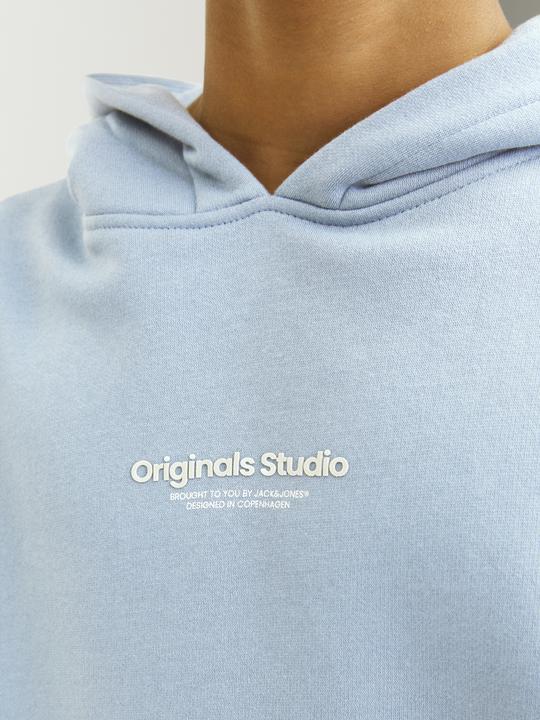 Actual product image Jack & Jones Jorvesterbro Sweat Hood Noos Mni (110)
