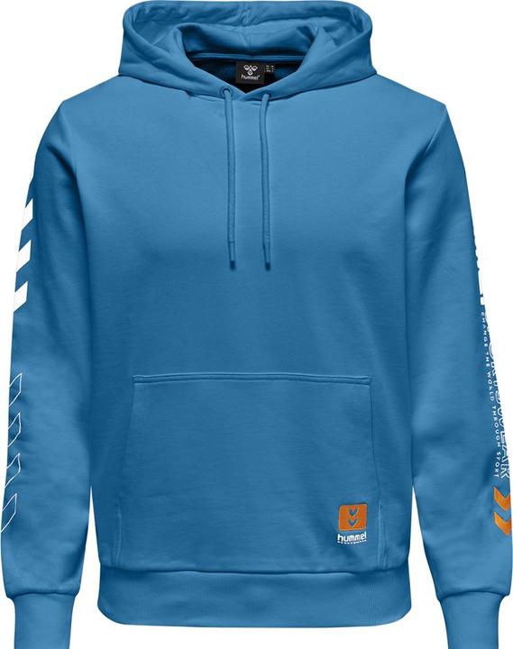hummel Lgc Birk Hoodie