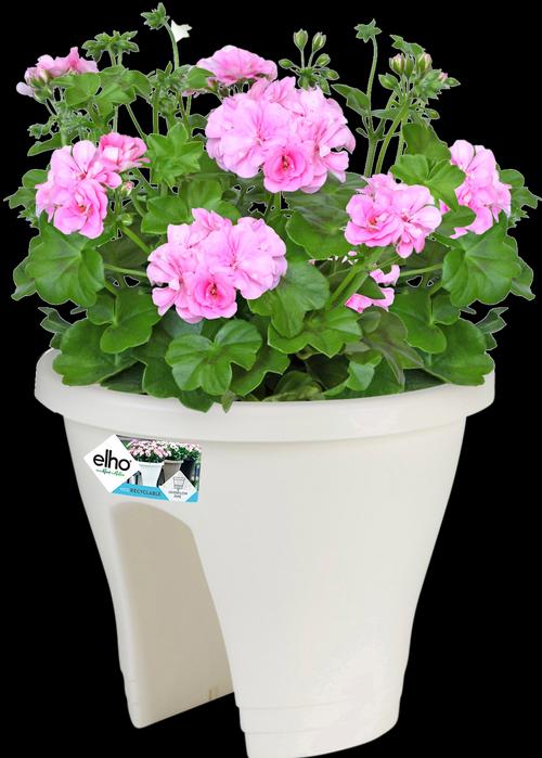 Produktbild Elho Corsica (29 cm)