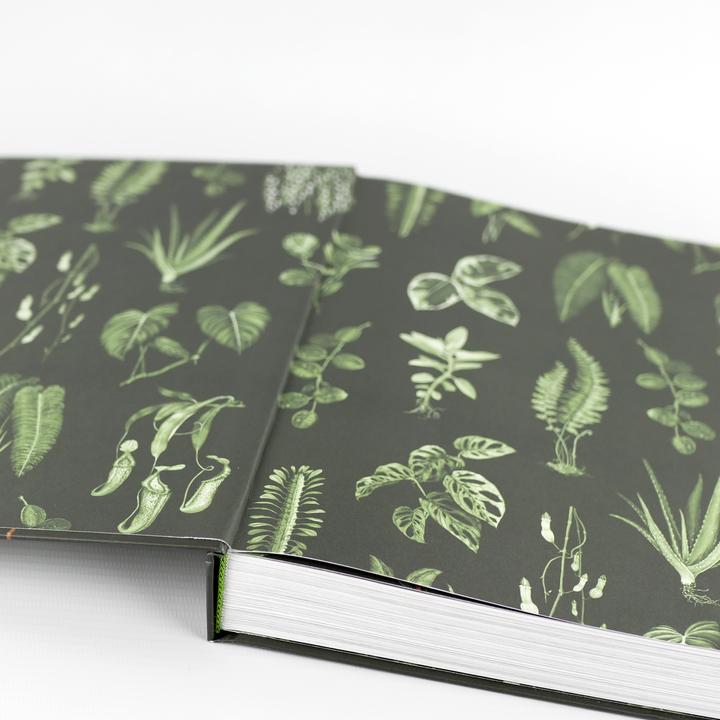 Produktbild Plantopedia (Deutsch, Lauren Camilleri, Sophia Kaplan, 2022)