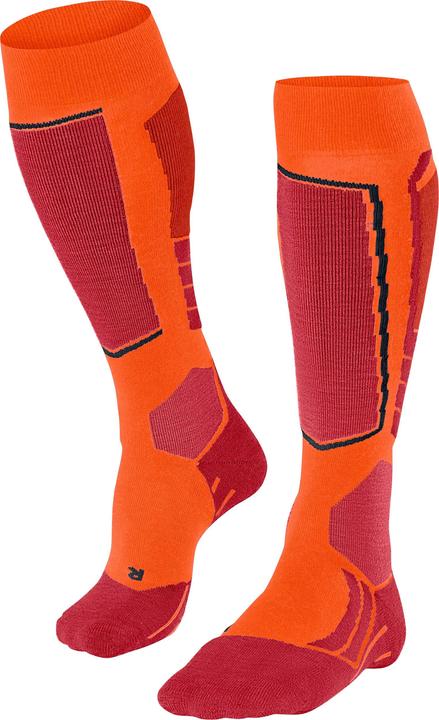Actual product image Falke Kniestrümpfe SK2 (39 - 41)