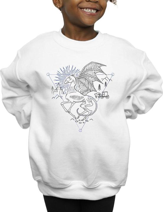 Actual product image Girls Thestral Line Art Sweatshirt (116)