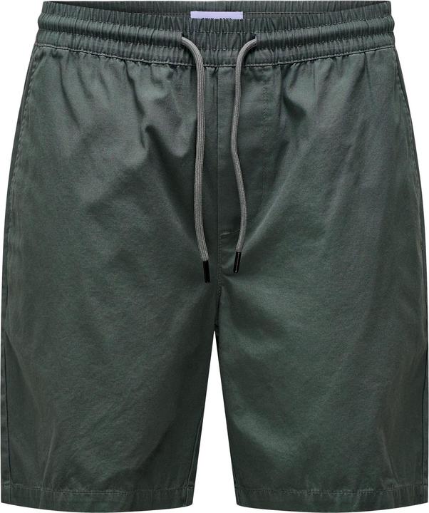 Only & Sons Normal geschnitten Shorts Shorts