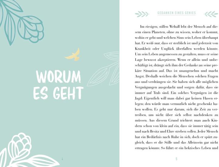 Produktbild Der Kompass für mein Leben (Deutsch, Pattloch Verlag, 2024)