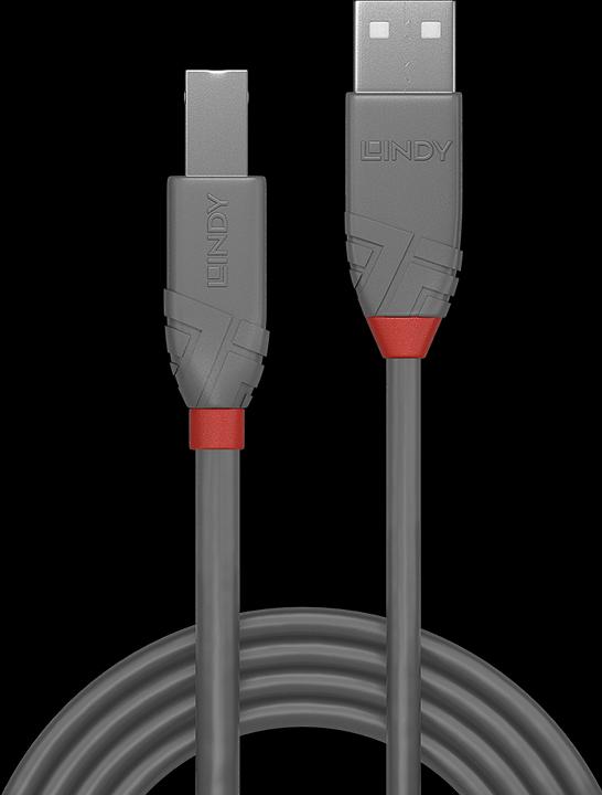 Image du produit Lindy USB/A-USB/B M-M (3 m, USB 2.0)