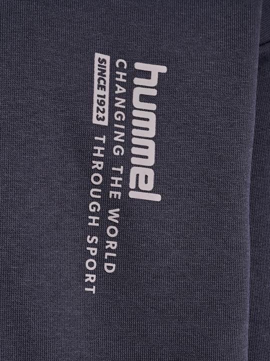 Image du produit hummel hmlDANTE HOODIE (122)