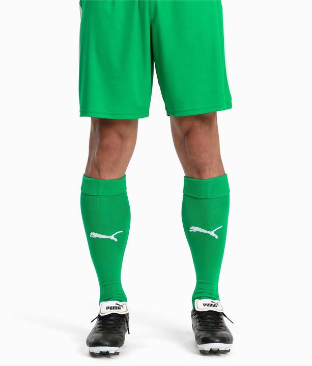 Actual product image Puma Team LIGA Socks CORE-703441 (39, 42)